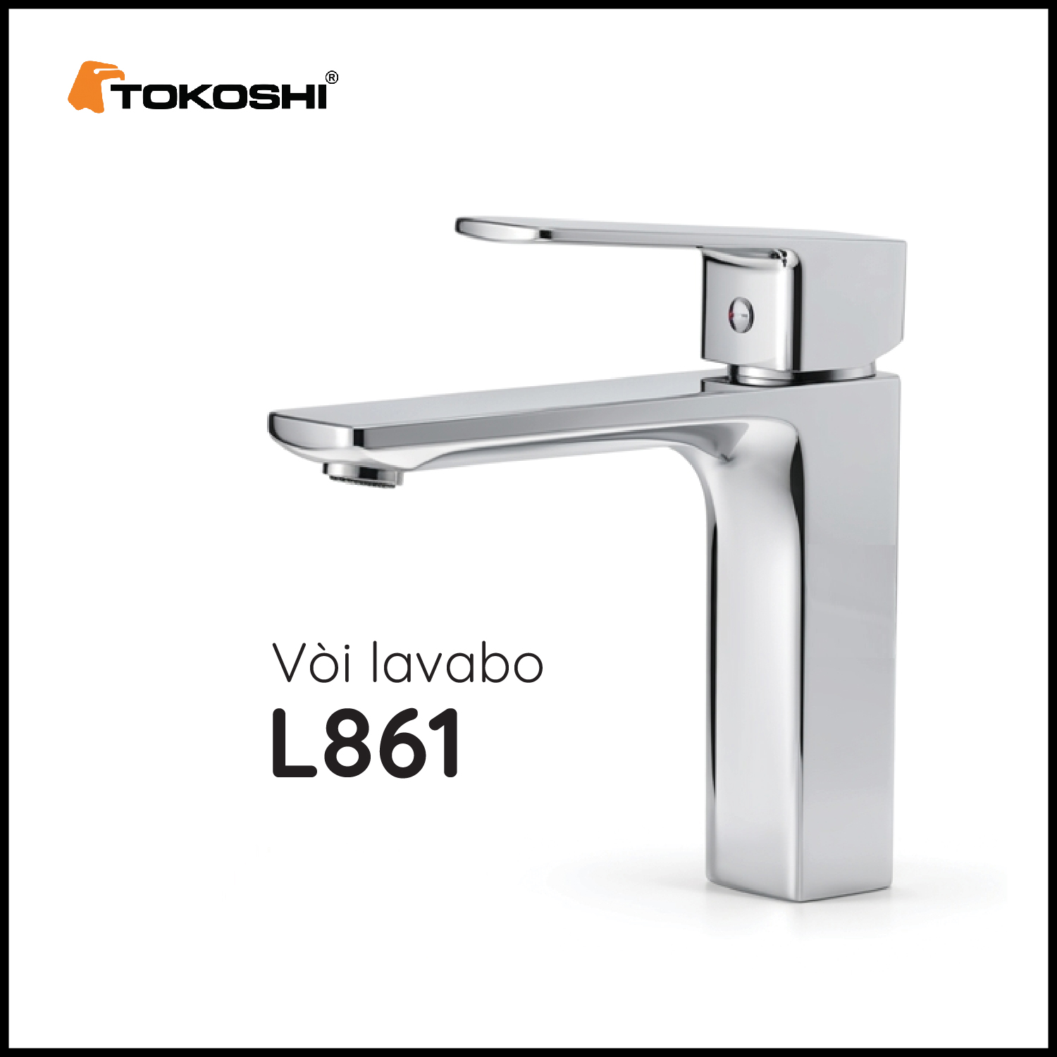 L861 (2)