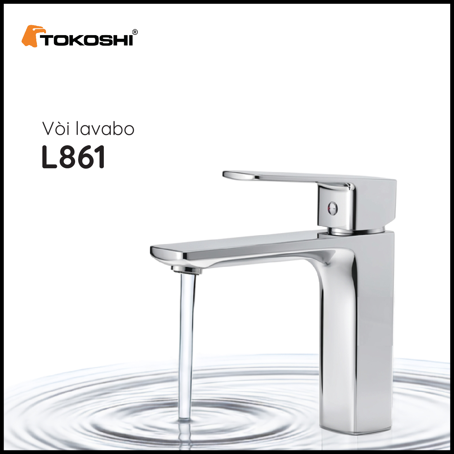 L861 (3)