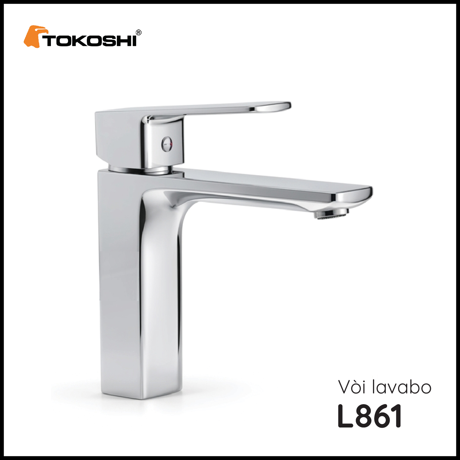 L861 (6)