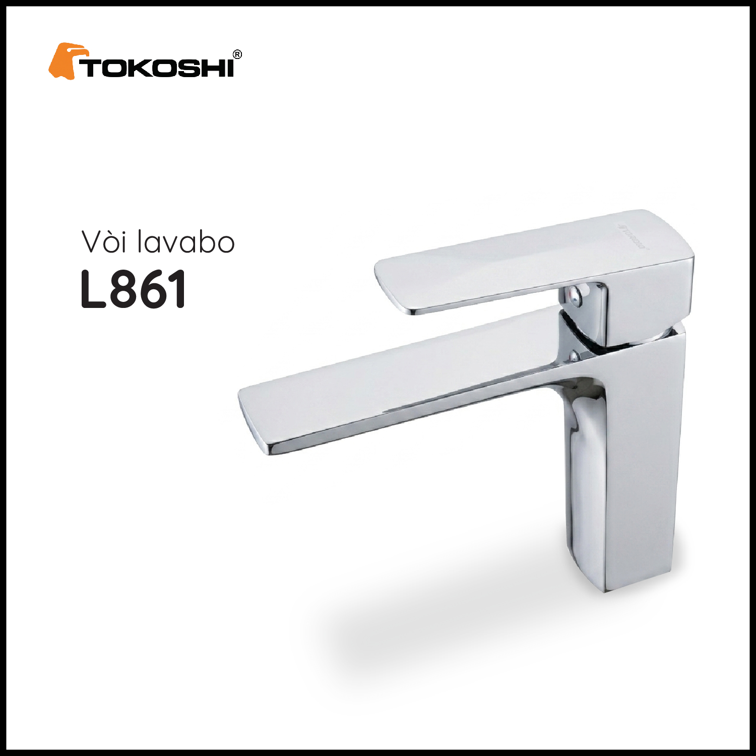 L861 (9)